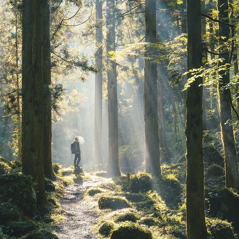 Trekking Tour